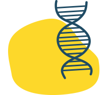 Diagnostics Icon